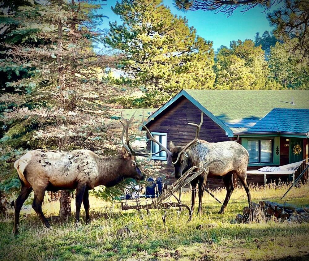 Mountain Shadows Resort Estes Park Luaran gambar