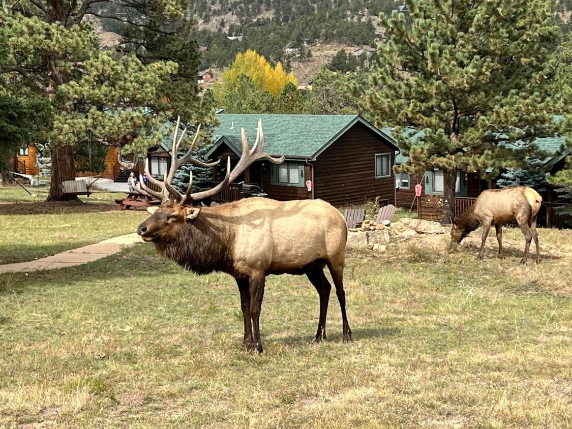 Mountain Shadows Resort Estes Park Luaran gambar