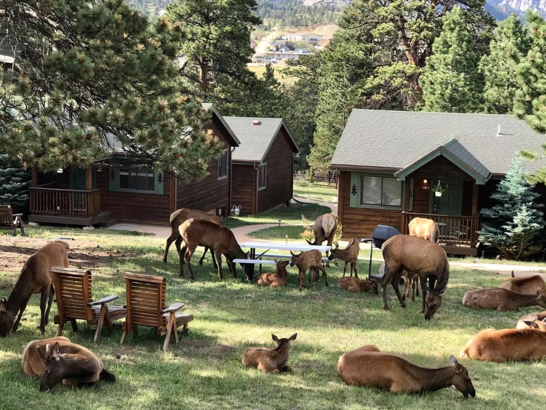 Mountain Shadows Resort Estes Park Luaran gambar