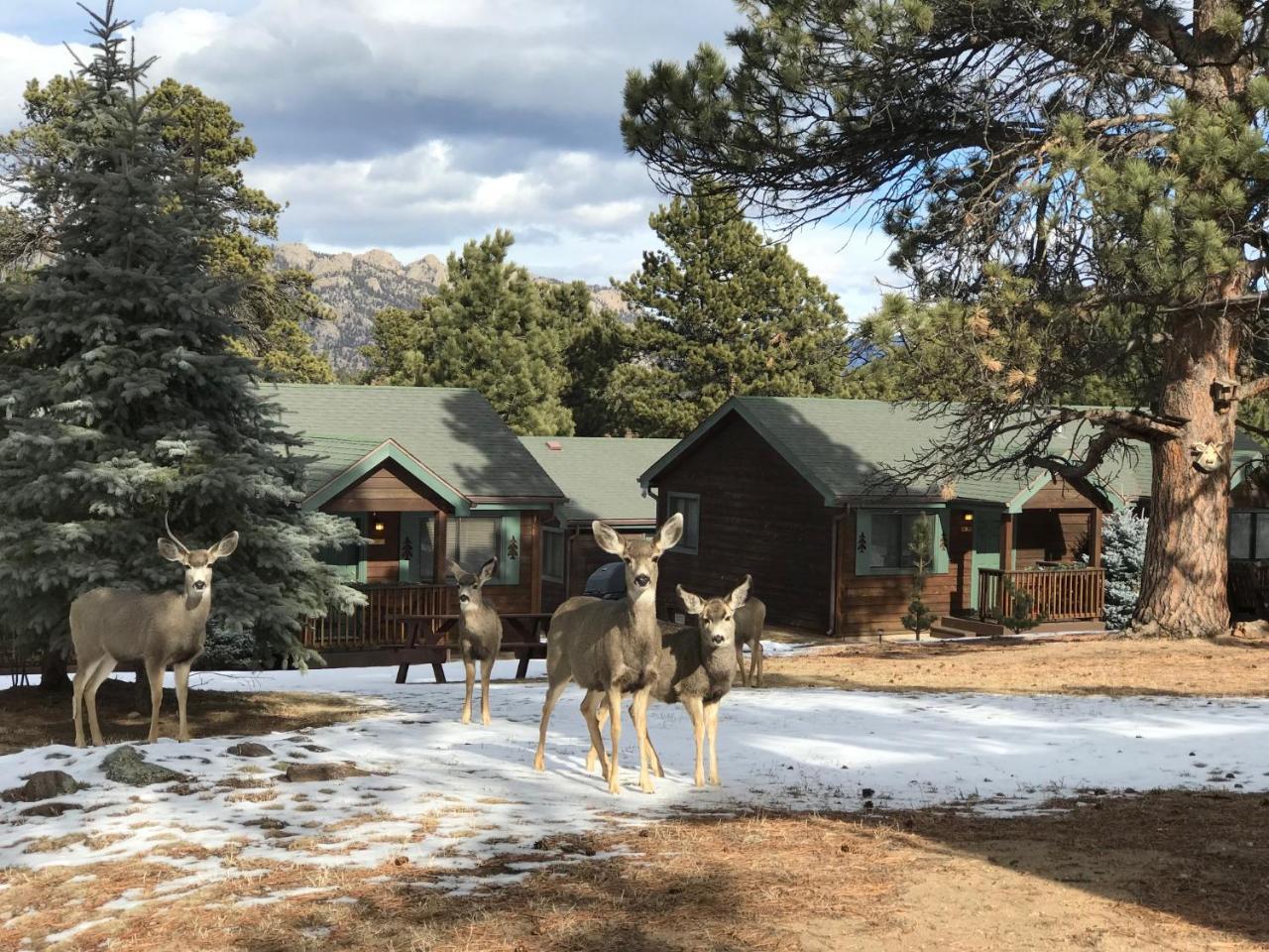 Mountain Shadows Resort Estes Park Luaran gambar